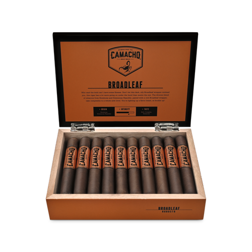 Breitblättrig Robusto